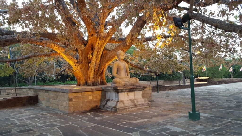 Anuradhapura – The Eternal City of Buddhism in Sri Lanka