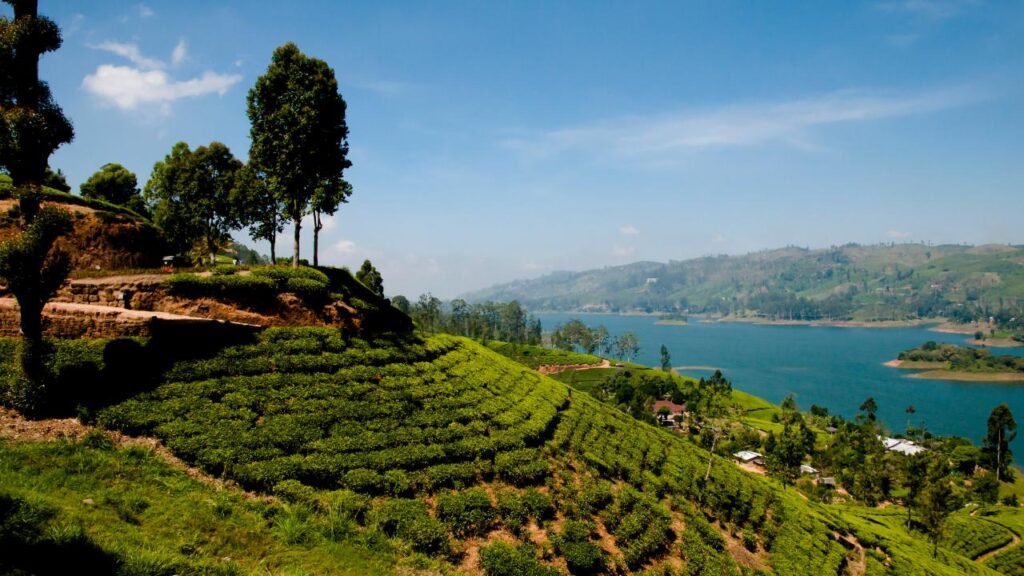 About Sri Lanka